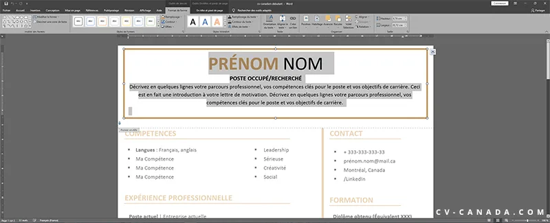 modifier CV avec Word
